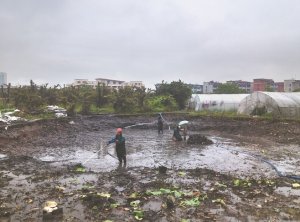 兴安河道鱼塘清淤